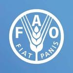 Food and Agriculture Organization of the United Nations (FAO)